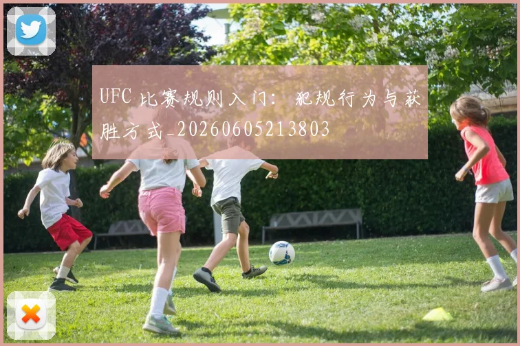 UFC 比赛规则入门：犯规行为与获胜方式_20260605213803